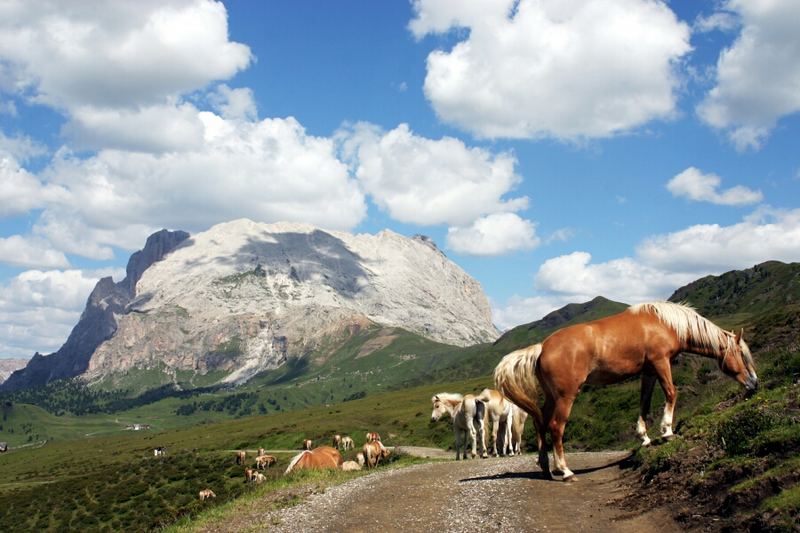 Langkofel (3181m)