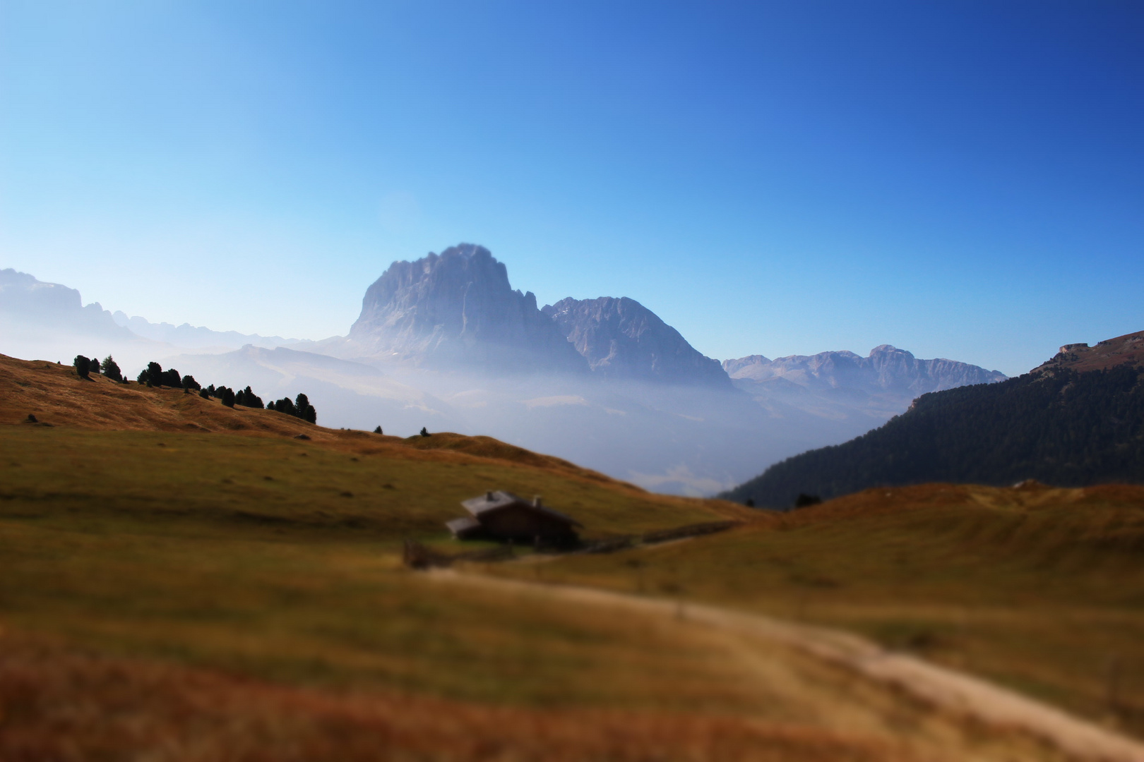 Langkofel in Gröden - Sassolungo in Val Gardena