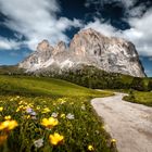 Langkofel (Sasso Lungo)