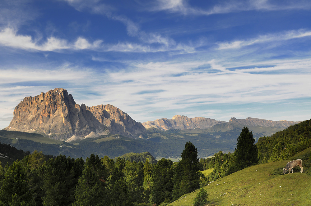 ... Langkofel - Südtirol ...