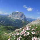 Langkofel von der Cirspitze aus gesehen