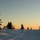 Langläufer am Abend