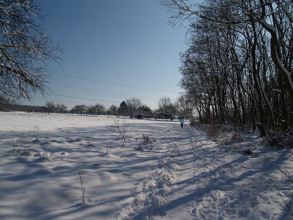 Langlauf im Taunus