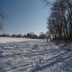 Langlauf im Taunus