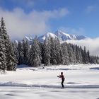 Langlauf in Seefeld