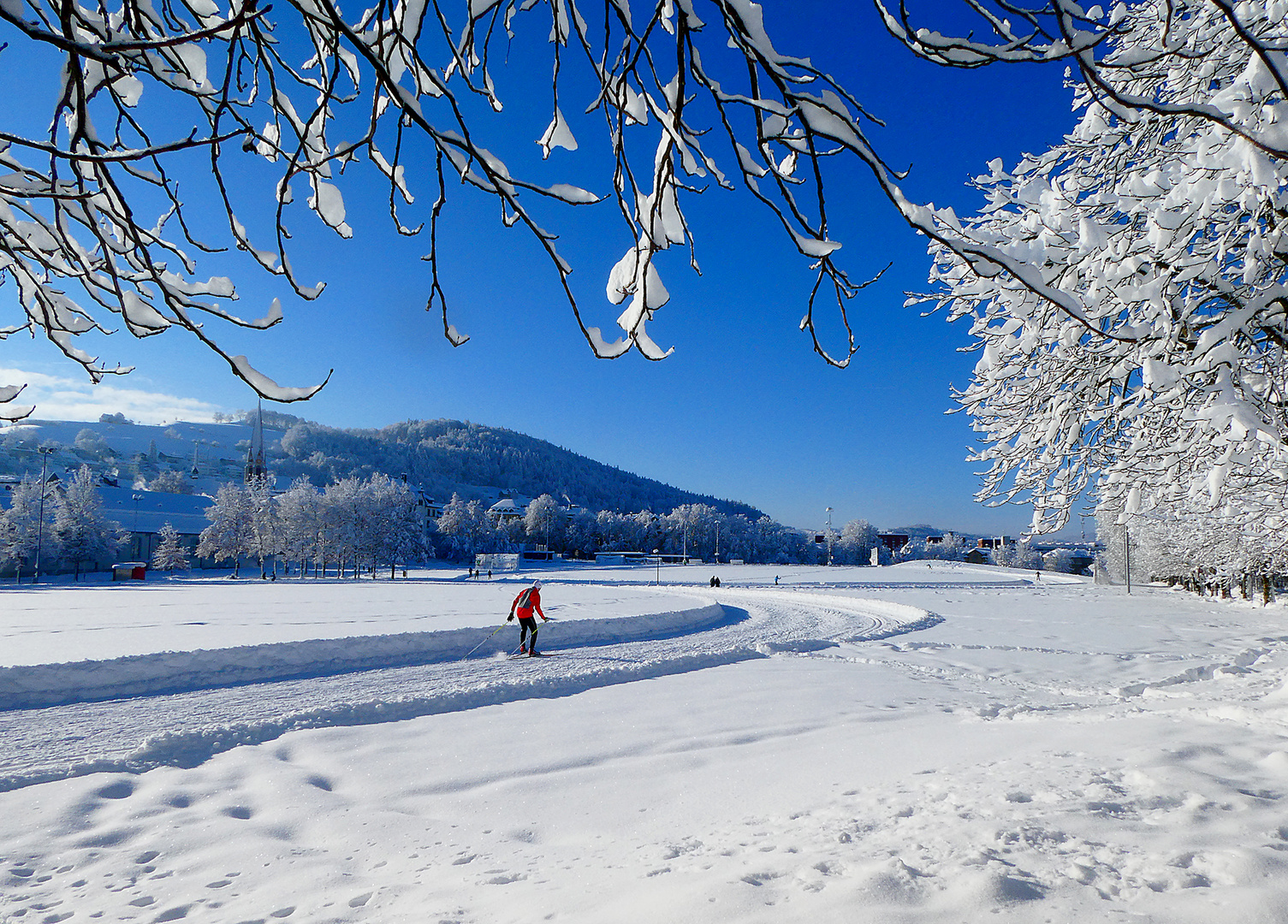 Langlauf mitten in der Stadt