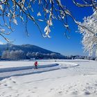 Langlauf mitten in der Stadt