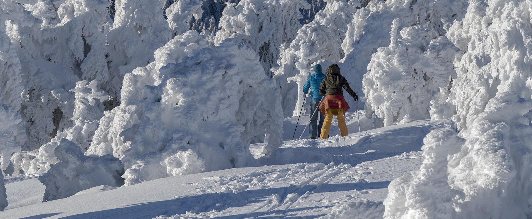 Langlauf Ski Brocken Harz Panorama