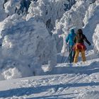 Langlauf Ski Brocken Harz Panorama