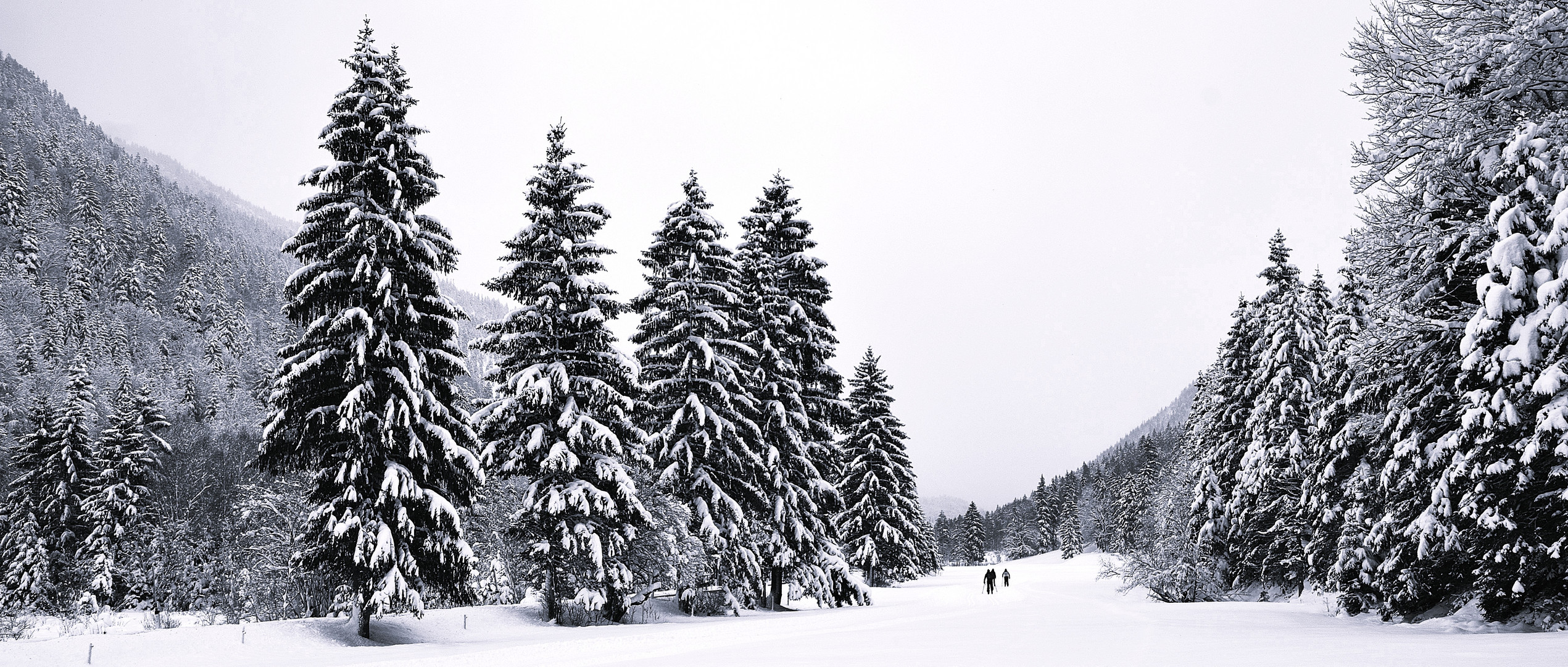 Langlaufen