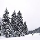 Langlaufen