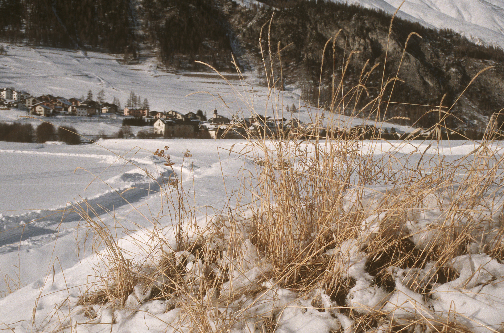 Langlaufen bei La Punt (Oberengadin)