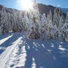 Langlaufen im Bodental/Kärnten