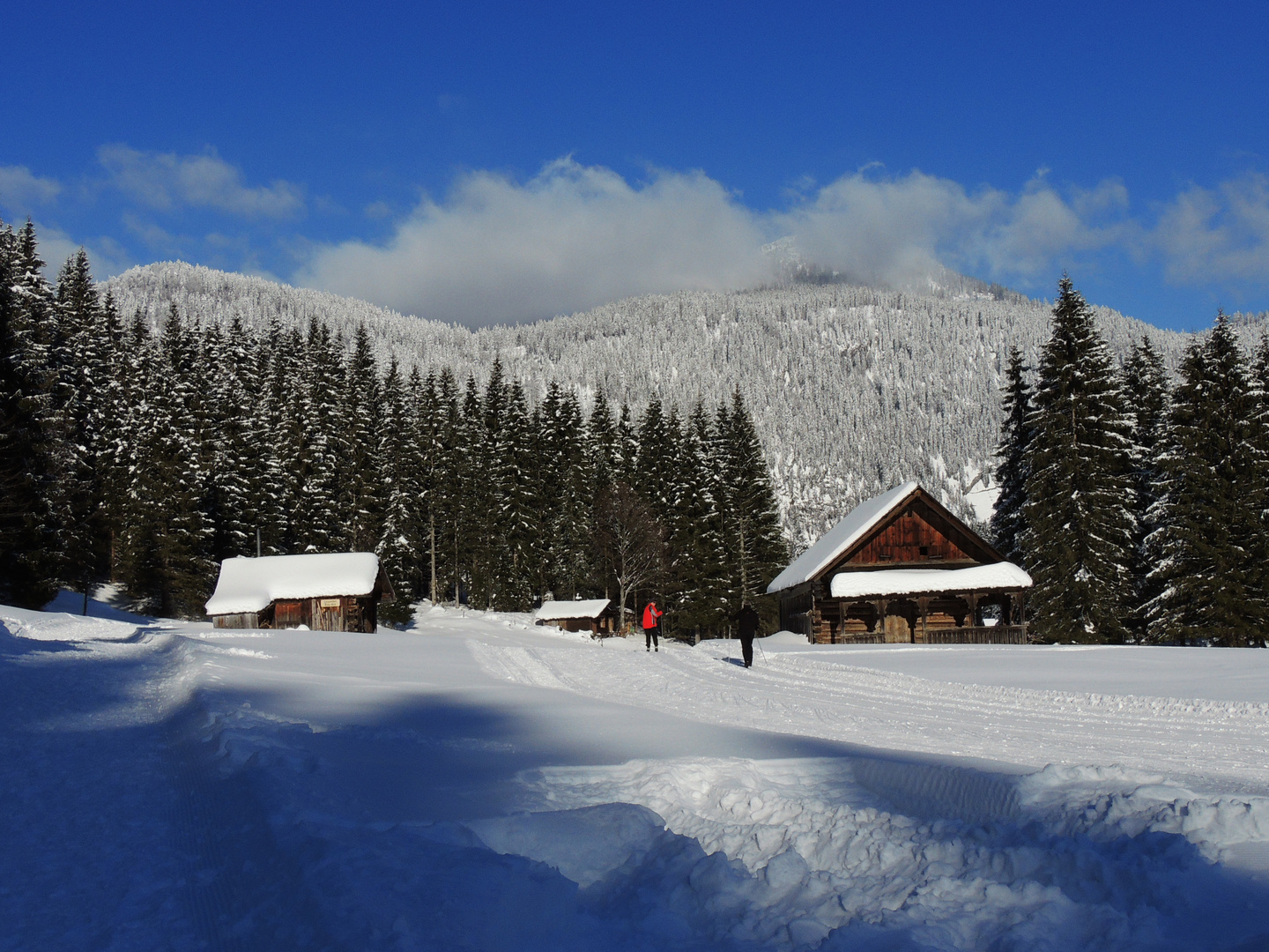 Langlaufloipe Blaa Alm