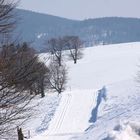 Langlaufloipe Schauinsland - Nothschrei