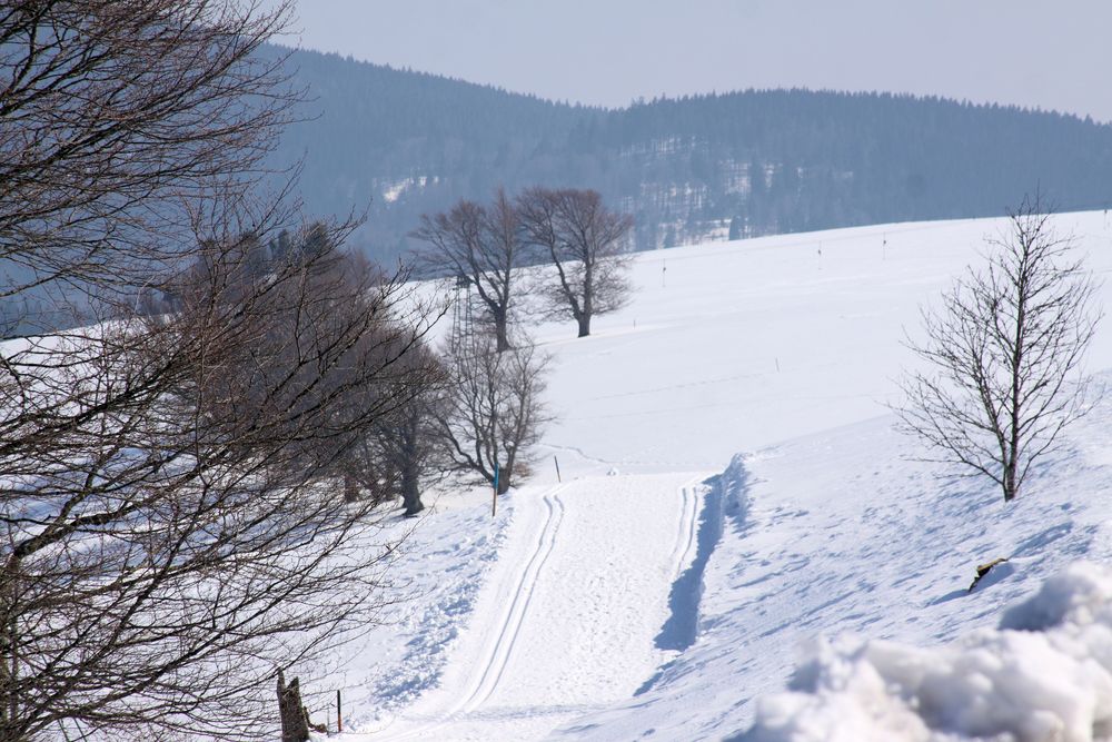 Langlaufloipe Schauinsland - Nothschrei