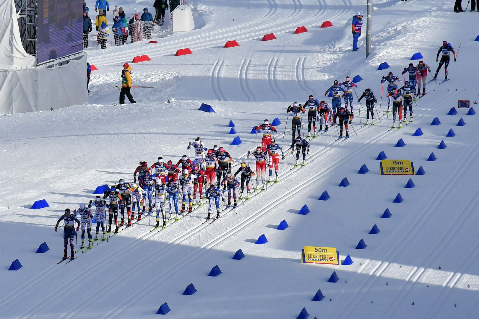 Langlaufweltcup in Oberhof !  (Thüringen)