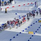 Langlaufweltcup in Oberhof !  (Thüringen)