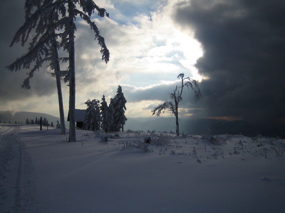 Langmartskopf Nordschwarzwald