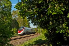 "Langnase" im Frühling