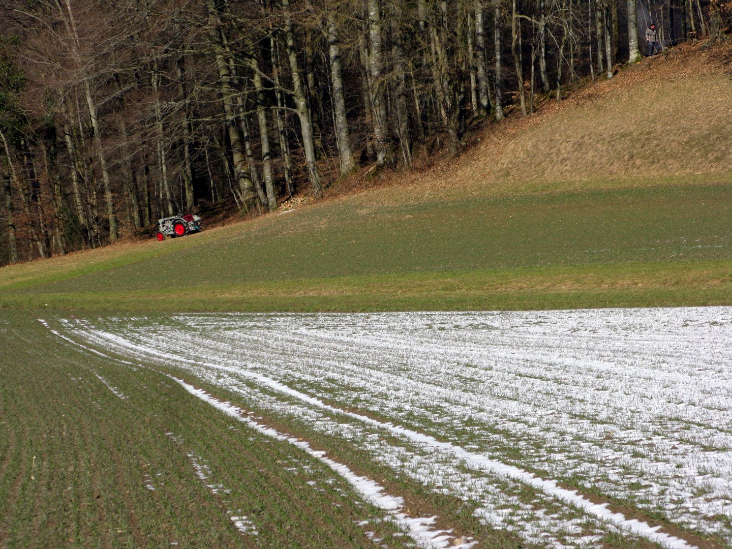 langsam aber sicher