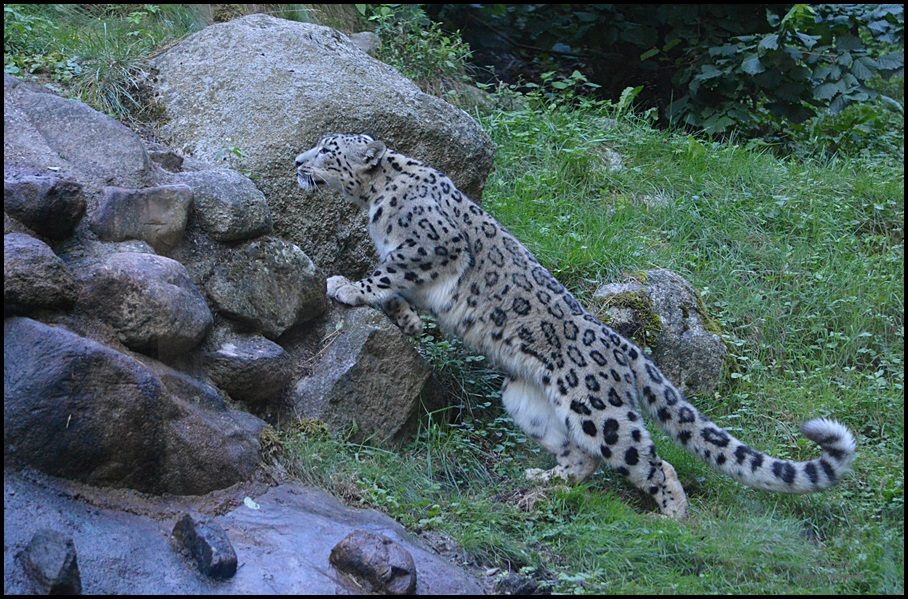 Langsam anschleichen...