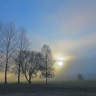 langsam durchdringt die Sonne die Nebelwand