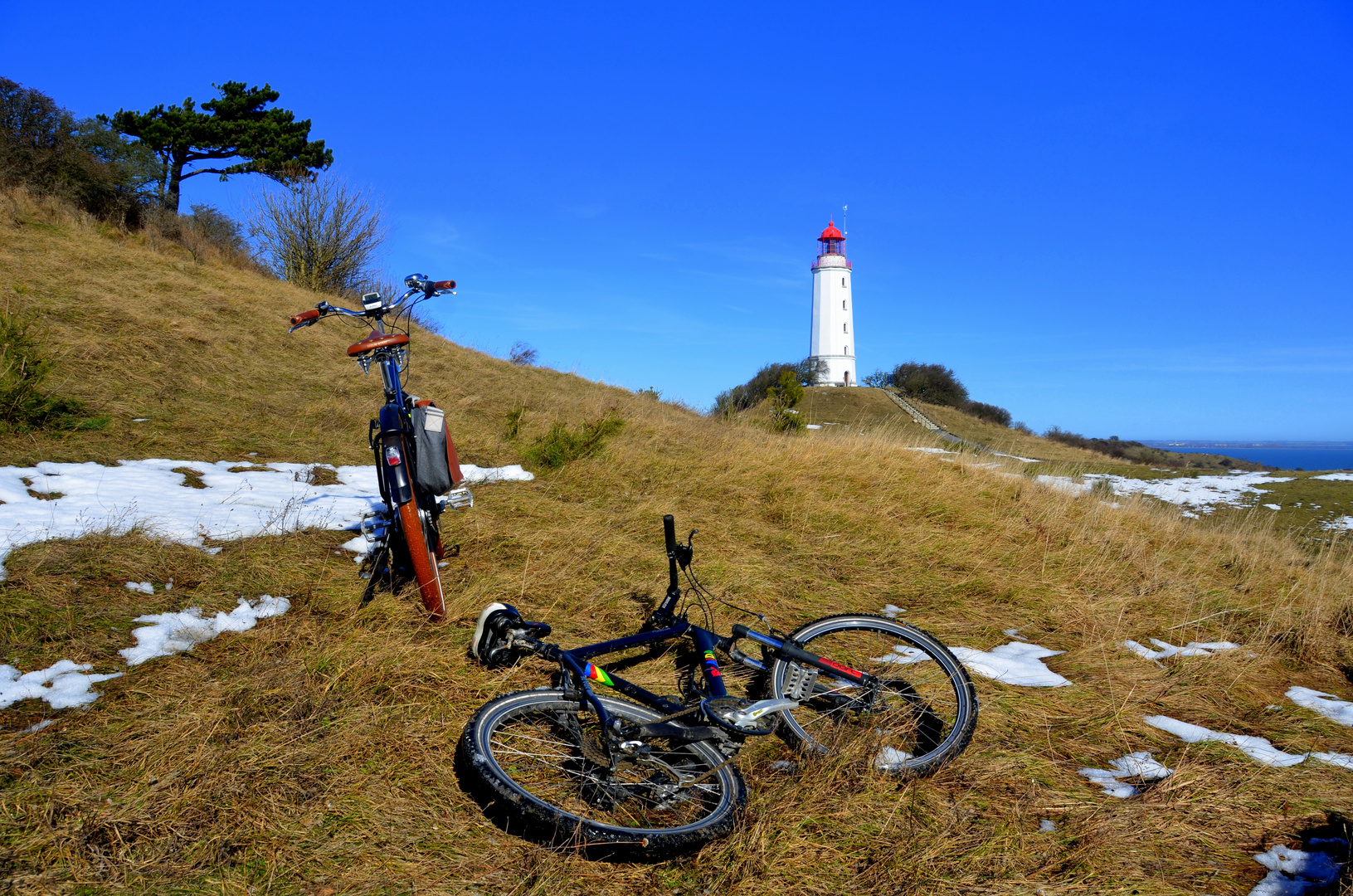 langsam Frühlingserwachen auf Hiddensee