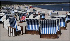 Langsam füllen sich die Strandkörbe