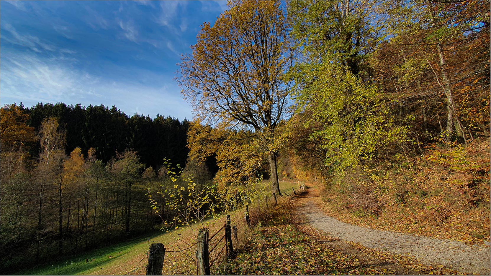 Langsam geht der Herbst   . . .