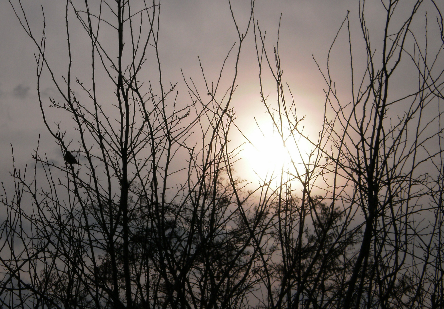 langsam geht der tag zu ende und die sonne verabschiedet sich