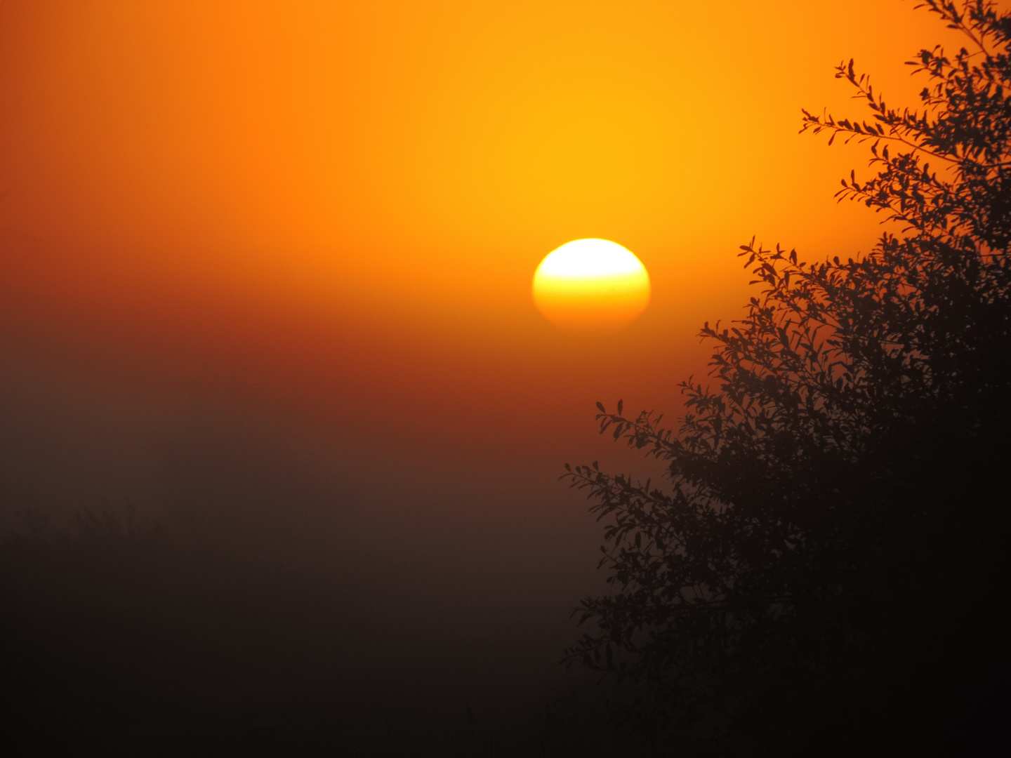 langsam geht die sonne auf