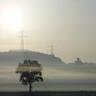 "Langsam geht sich der Sommer aus III"