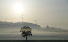 "Langsam geht sich der Sommer aus III"