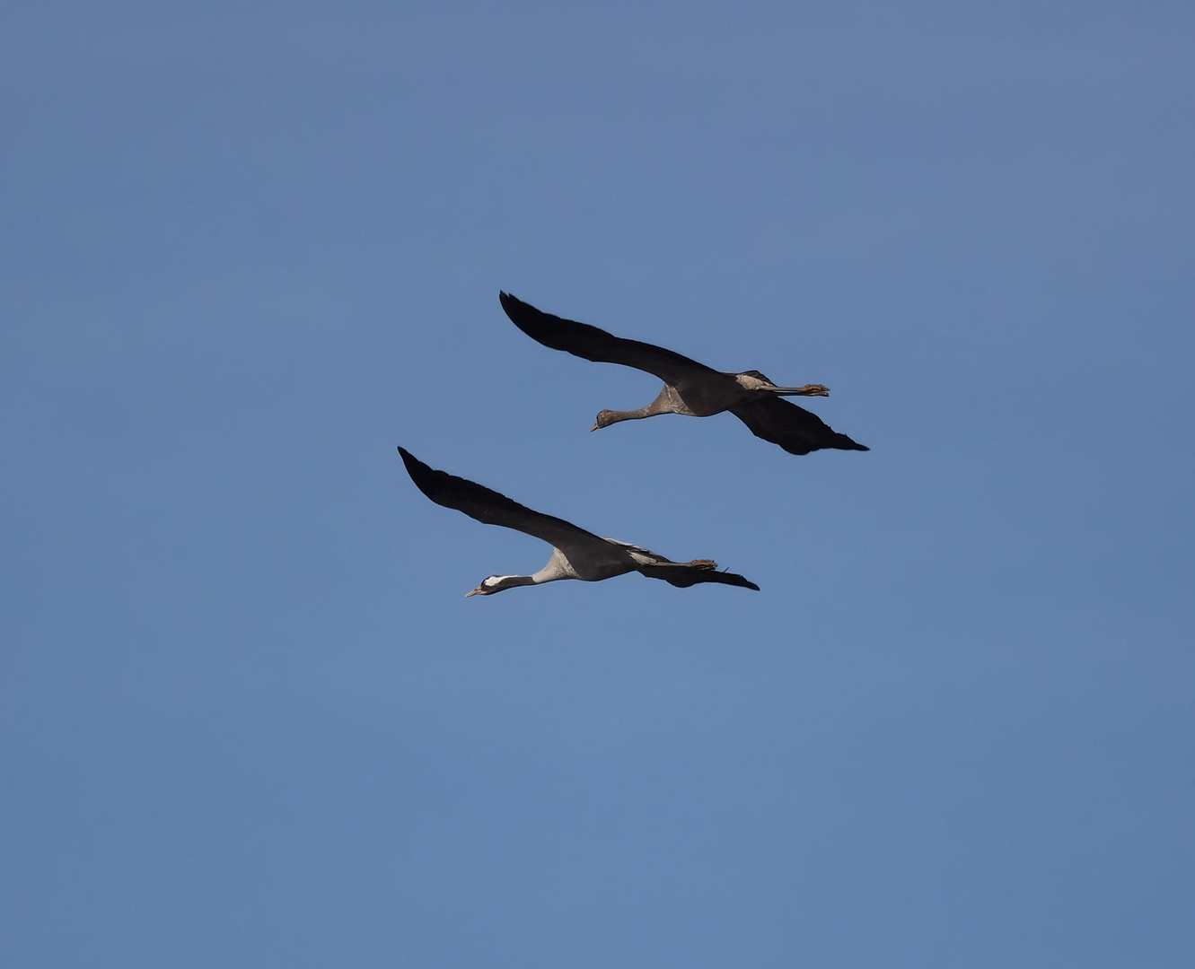 ..^^...^^ langsam geht´s los ...^^...^^