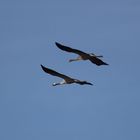 ..^^...^^ langsam geht´s los ...^^...^^