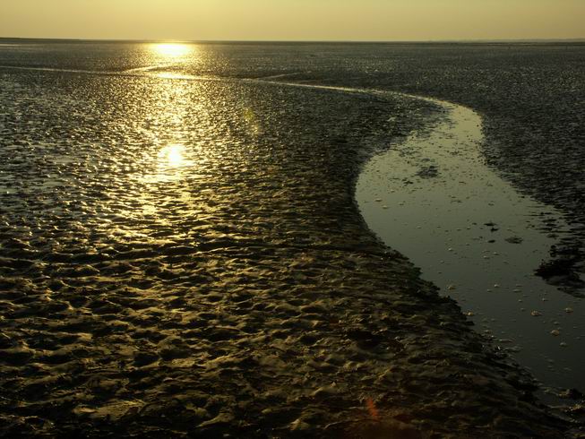 langsam kommt das Wasser wieder