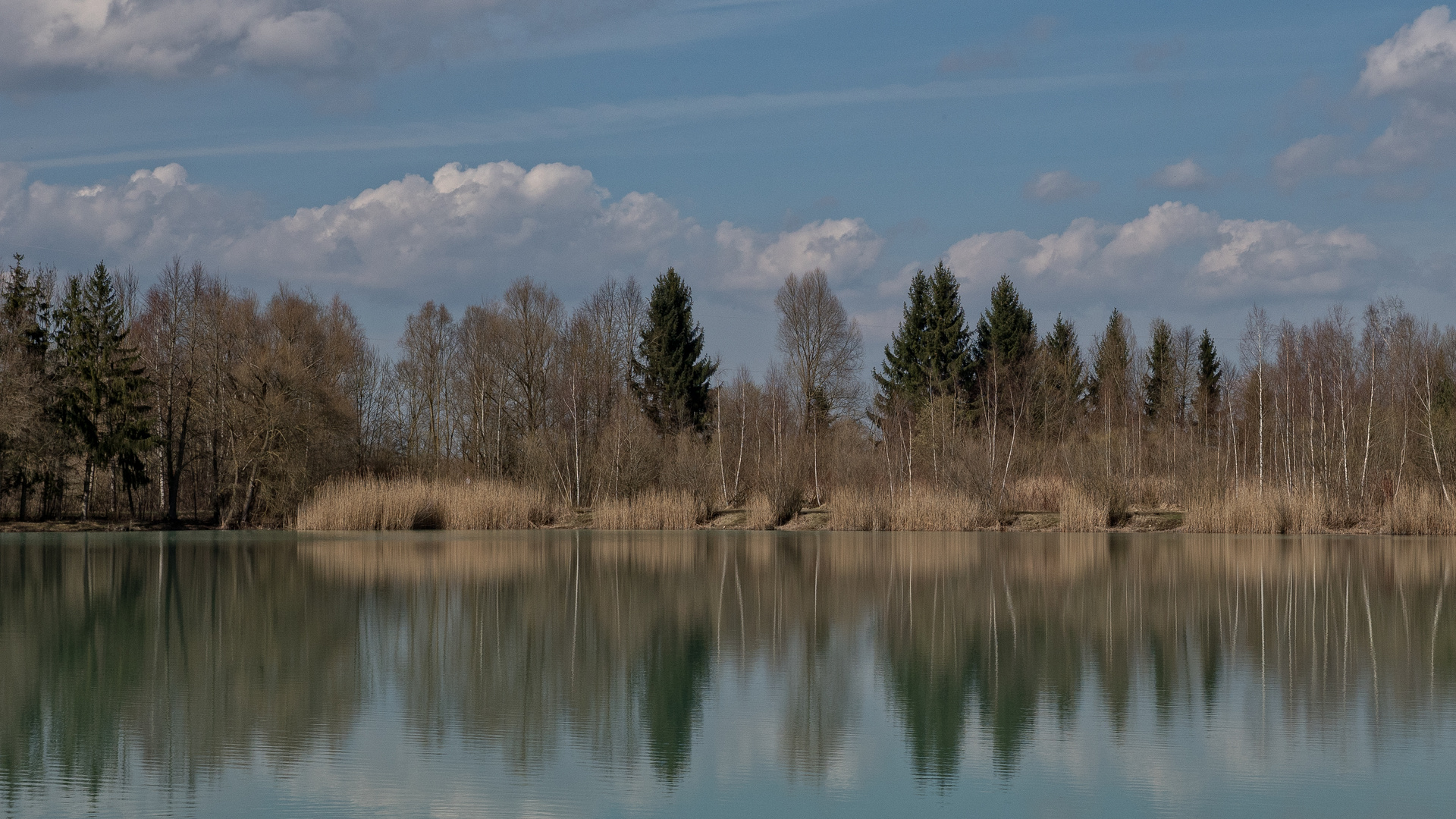 Langsam kommt der Frühling