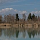 Langsam kommt der Frühling