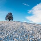 langsam kommt der Winter