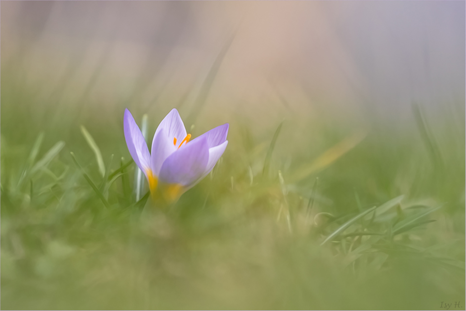 Langsam kommt ein neuer Frühling 