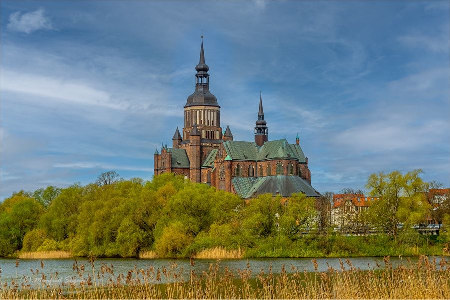 Langsam kommt wieder Farbe in die Natur - Blick über den Frankenteich auf die St.Marienkirche... 