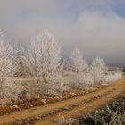 Langsam lichtet sich der Nebel.