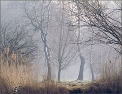 Langsam lichtet sich der Nebel...