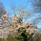 Langsam nähert sich der Frühling