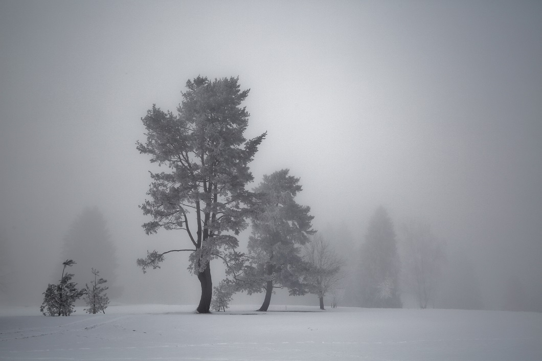 langsam neigt sich der Wintertag dem Ende zu