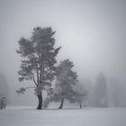 langsam neigt sich der Wintertag dem Ende zu