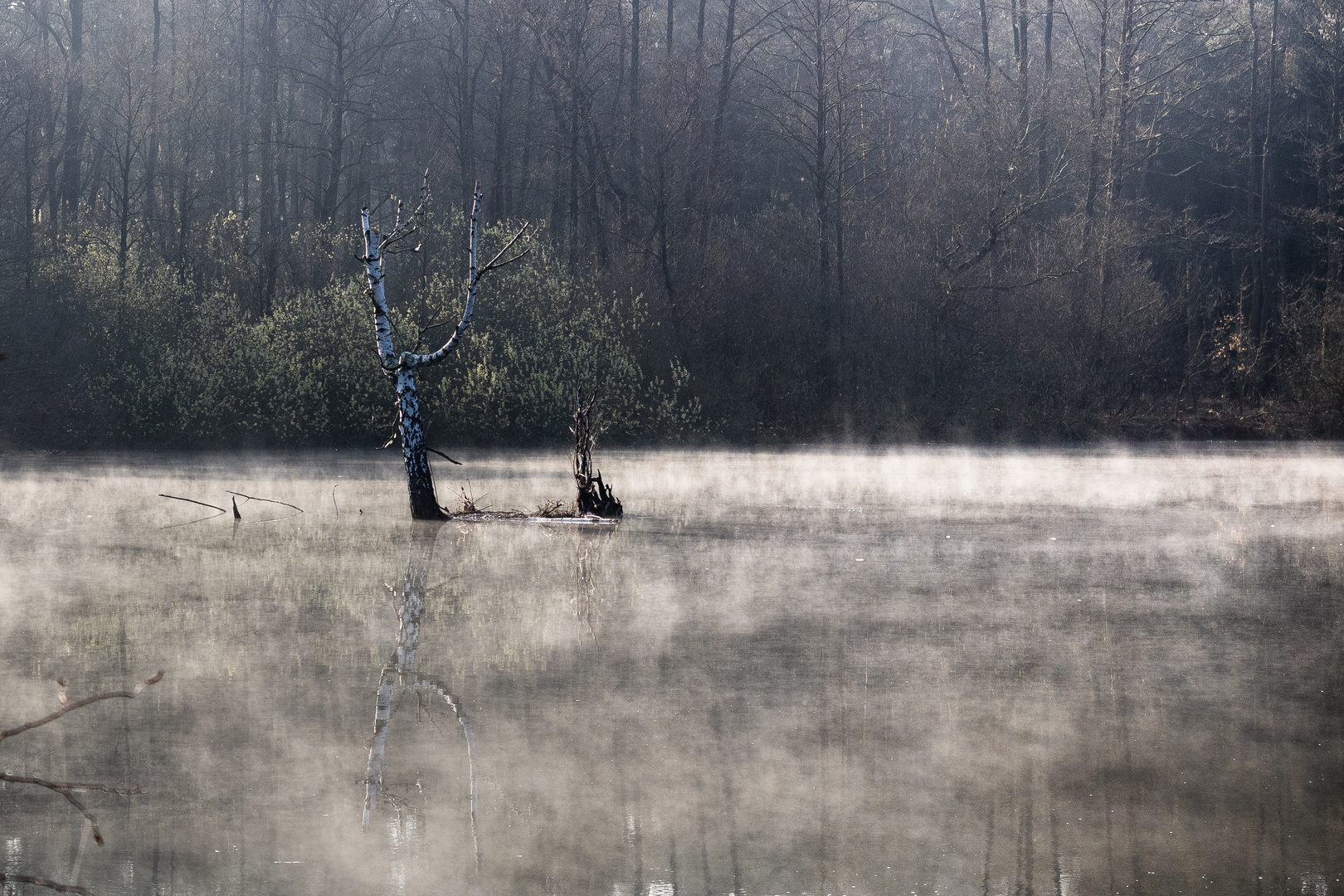 langsam steigt der Nebel auf