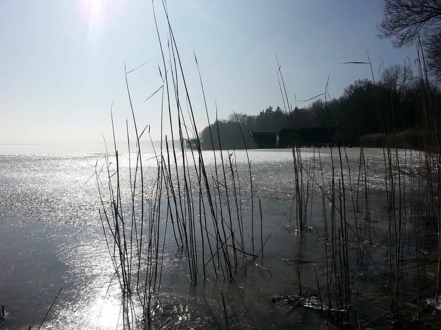 Langsam taut der Ammersee