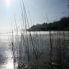 Langsam taut der Ammersee